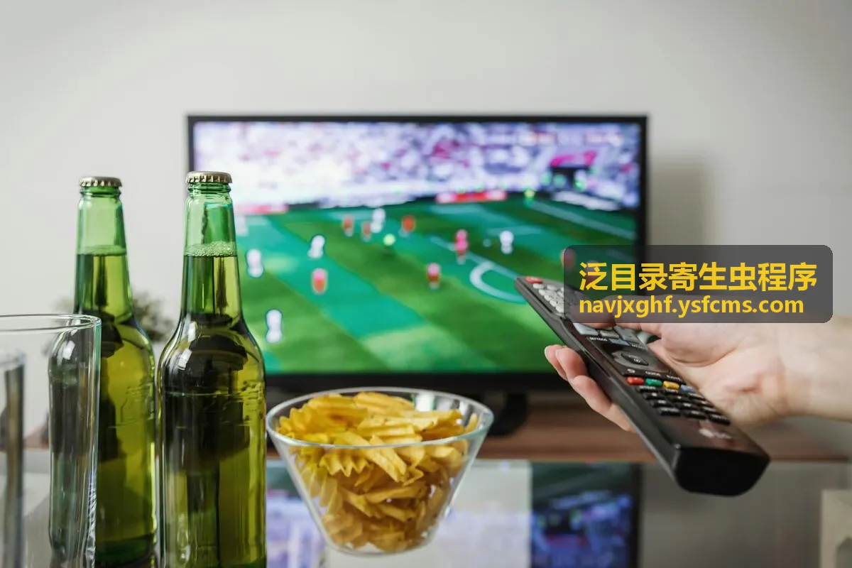 2025新版泛目录站群异常目录检查示意